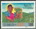 125th Anniv of Tea Industry - Sri Lanka Mint Stamps
