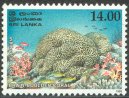 Mint Stamp-Corals of Sri Lanka - Brain-boulder