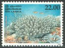 Mint Stamp-Corals of Sri Lanka - Elkhorn
