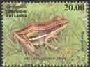 Mint Stamp-Endemic Amphibians