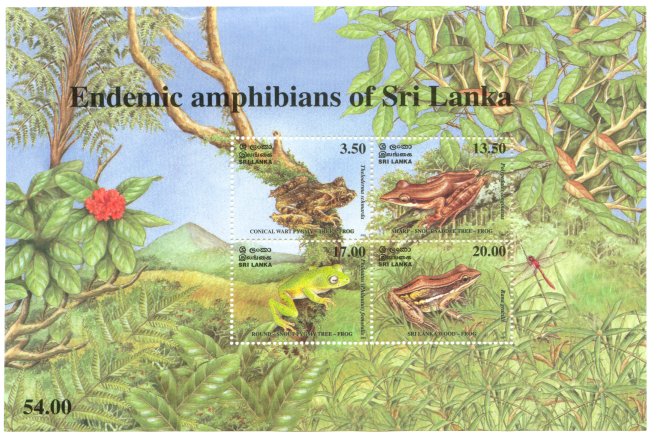 Endemic Amphibians of Sri Lanka