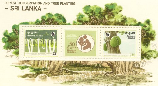 Forest Conservation & Tree Planting