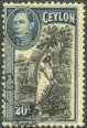 KG VI Definitives (15.1.38) - Ceylon Used Stamps