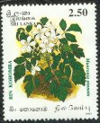 Medicinal Herbs - Sri Lanka Mint Stamps