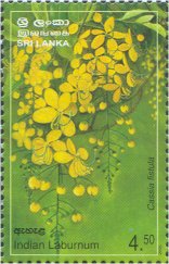 Mint Stamp-Provincial Flowers of Sri Lanka - Indian Laburnum