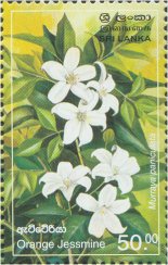 Provincial Flowers of Sri Lanka - Orange Jessmine - Sri Lanka Mint Stamps