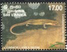 Reptiles - Common Lanka Skink - Sri Lanka Mint Stamps