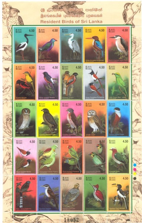Resident Birds of Sri Lanka