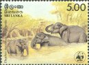 Mint Stamp-Sri Lanka Wild Elephants - Bathing
