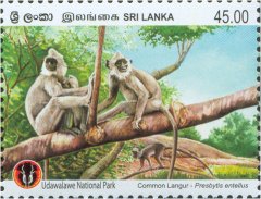 Udawalawa National Park - Grey Langur (Semnopithecus entellus) - Sri Lanka Mint Stamps